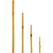 bellissa Bambusrohre