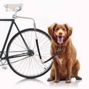 Bella & Balu Fahrradleine Vergleich