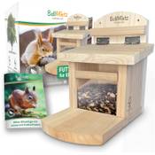 BellMietz geliebtes Eichhörnchen Futterhaus Vergleich
