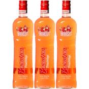 Berentzen Erdbeer-Rhabarber-Likör