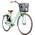 Bergsteiger Amsterdam Damenfahrrad