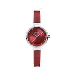 Bering Damen Analog Solar Collection