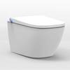 Dusch-WC