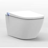 Bernstein Dusch-WC Basic 1104