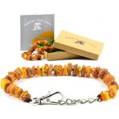 AmberPetCare Bernsteinkette mit Karabinerverschluss ATD Vergleich