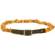 Baltic Amber Land Bernstein Pet Halsband Vergleich
