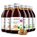 ‎Berries Polska Bio Ingwersaft