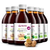 ‎Berries Polska Bio Ingwersaft