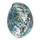 Besportble Abalone-Muschel