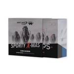 Fitness-Adventskalender