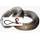 Best4forst Windenseil