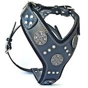 Bestia Maximus Silver
