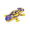 Bestway Splashing Salamander