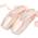 Bezioner Ballettschuhe