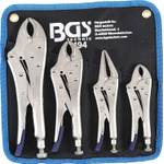 BGS 494