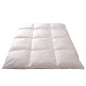 Bielefelder Bettfedern-Manufaktur Verse 51800200