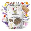 Bienenmagnet Wildblumensamen