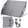 Bigblue Solarpowa 100