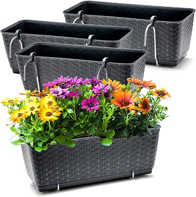 wie viele petunien in einen blumenkasten Blumensamen Balkonkasten Mischung