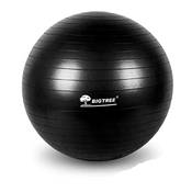 BigTree Gymnastikball Vergleich