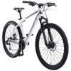 Bikestar Hardtail-Mountainbike 27 Zoll