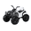 Actionbikes Kinder Elektro Quad Offroad