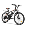 Vivi E-Bike Mountainbike