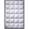 Billerbeck Daunendecke E03 Colina Kassette II