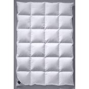Billerbeck Daunendecke E03 Colina Kassette II Vergleich