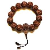 Billy Held Hand-Mala Rudrakshas