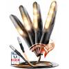 Binego LED Blinker Motorrad