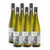 Bio mit Gesicht Riesling Weißwein
