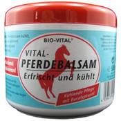 Bio Vital Pferdebalsam Vergleich