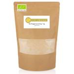 Biobuddys Bio Roggensauerteig