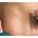 Biodermis Epiderm Silikonfolie