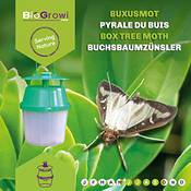 Biogrowi Buchsbaumzünsler-Falle Vergleich
