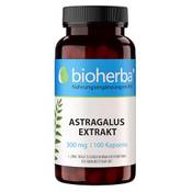 Bioherba Astragalus Kapseln