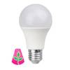 Bioledex GoLeaf LED Pflanzenlampe