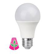 Bioledex GoLeaf LED Pflanzenlampe Vergleich