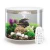 Biorb Rundes Aquarium