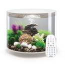 Biorb Rundes Aquarium