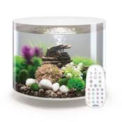 Biorb Rundes Aquarium