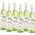 Biorebe Pinot Grigio