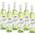 Biorebe Riesling