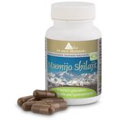 Biotikon Mumijo Shilajit nach Dr. med. Michalzik
