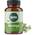 Biotiva Moringa