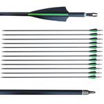 Biubiusot Bogenpfeile Jagdpfeile