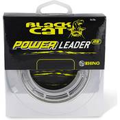 Black Cat 2342080