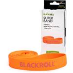 Blackroll Fitnessband