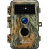 BlazeVideo A252
